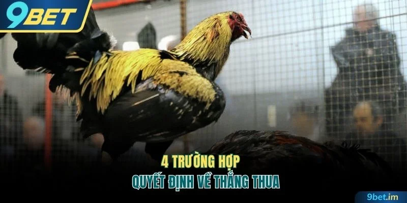 4 trường hợp quyết định về phân định thắng thua