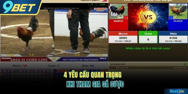 4 yêu cầu quan trọng khi tham gia cá cược