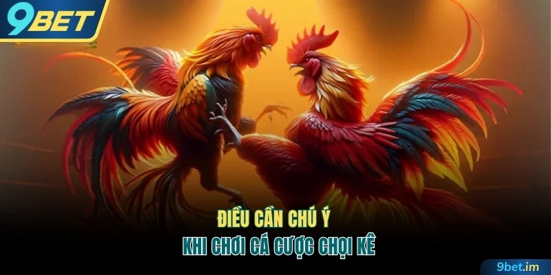 Điều cần chú ý khi chơi cá cược chọi kê