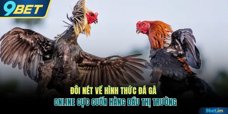 Đôi nét về hình thức đá gà online cực cuốn