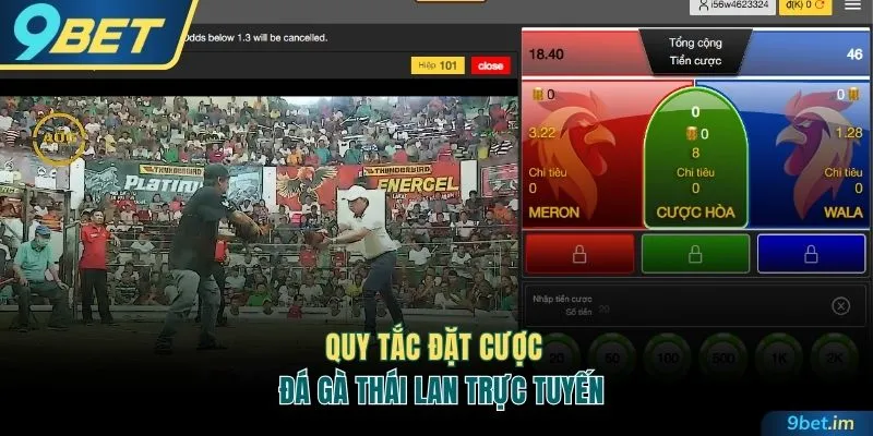 Quy tắc đặt cược game