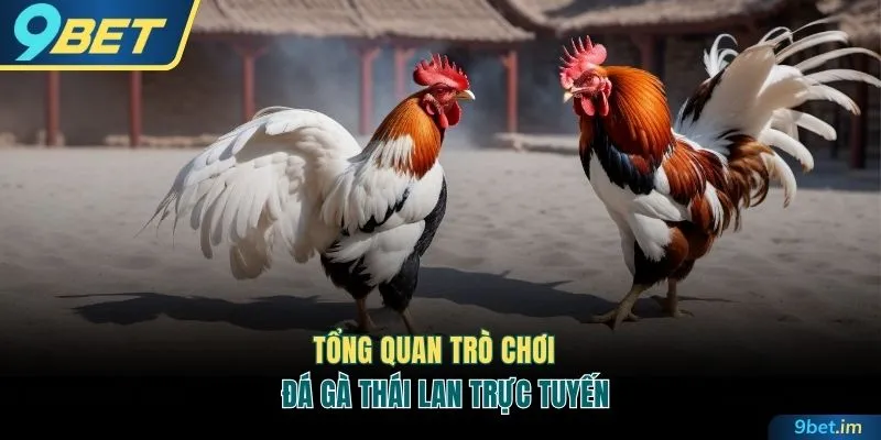 Tổng quan trò chơi đá gà Thái Lan trực tuyến